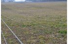 Property photo 47 - 98+/- Acres Offered in 6 Tracts or Combinations, Noble County, Indiana Farm